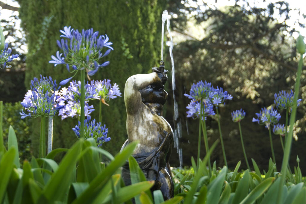 La descoberta dels Jardins