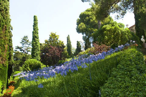 Clotilde y los agapantos - _dsc1276-.JPG